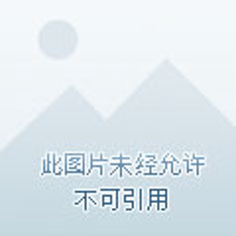 厦门软件开发：小城中的大作为