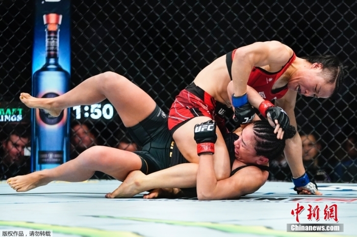 你可能不了解巴西柔术但