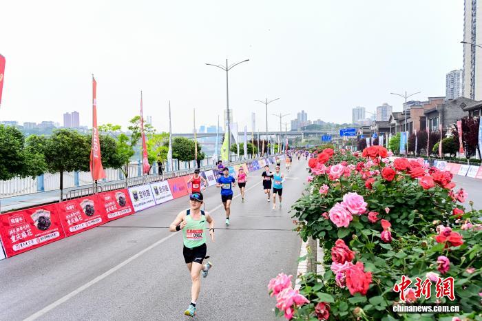 校友重聚母校 共跑青春赛道